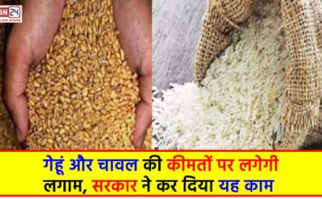 Wheat Price News: