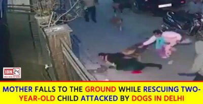 Pet Dog Turns Furious