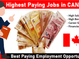 Highest paying IT job in canada