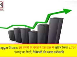 Multibagger Share: इस कंपनी के शेयरों ने एक साल में हासिल किया 1,700 फीसदी से ज्यादा का रिटर्न, निवेशकों को बनाया करोड़पति!