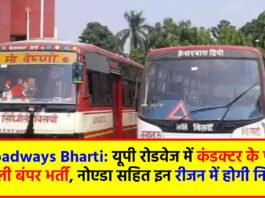 UP Roadways Bharti: यूपी रोडवेज में कंडक्टर के पदों पर निकली बंपर भर्ती, नोएडा सहित इन रीजन में होगी नियुक्ति