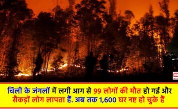 Chile Forest Fires