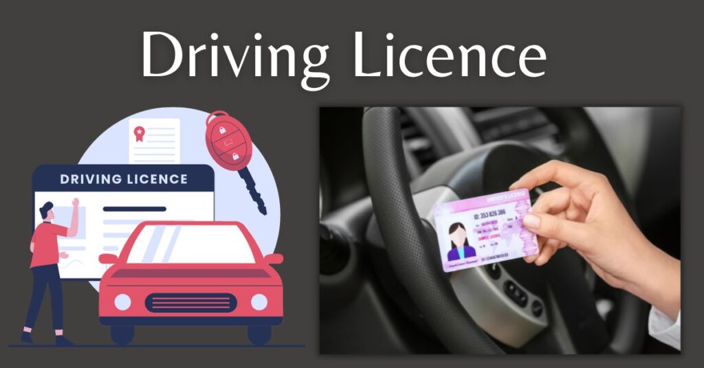 Indian Driving License