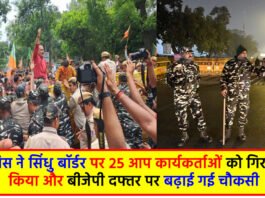 Delhi AAP Protest