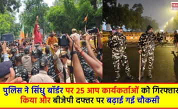 Delhi AAP Protest
