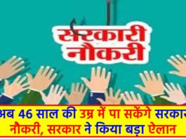 Government Job