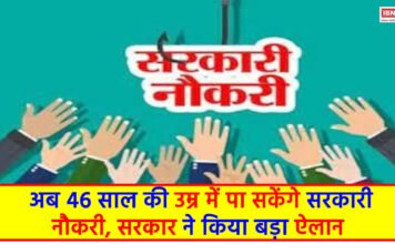 Government Job