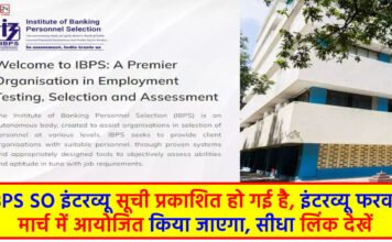 IBPS SO Interview