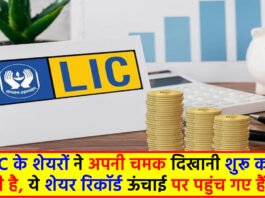 LIC Share