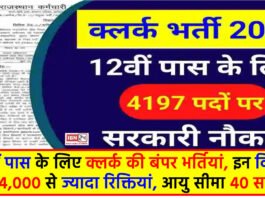 RSMSSB Recruitment 2024