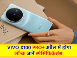 Vivo X100 Pro+
