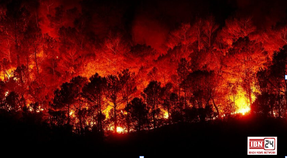 Chile Forest Fires 