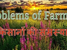 Haryana Farmers Protest