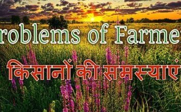 Haryana Farmers Protest
