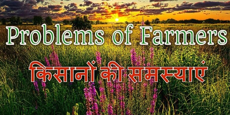 Haryana Farmers Protest