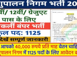 BPNL Bharti 2024
