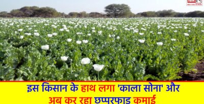 Farmer gets 'black gold'