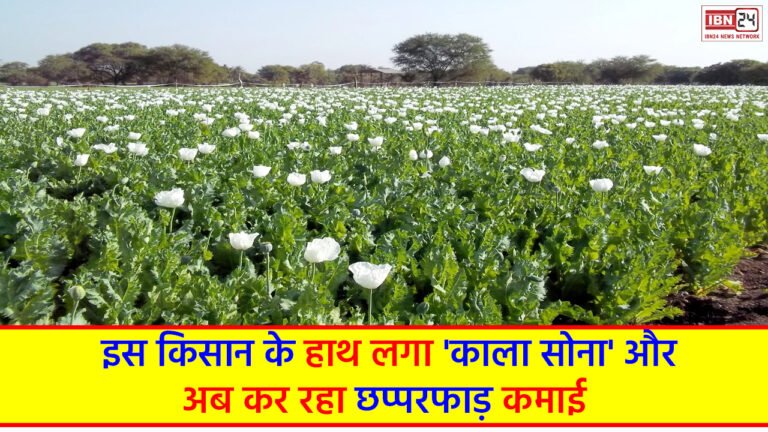 Farmer gets 'black gold'