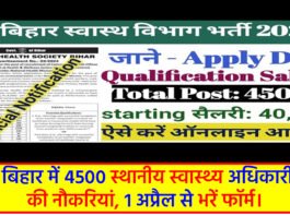 Government Job