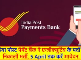 IPPB Recruitment 2024