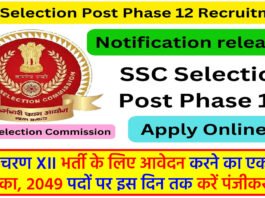 SSC Phase XII 2024