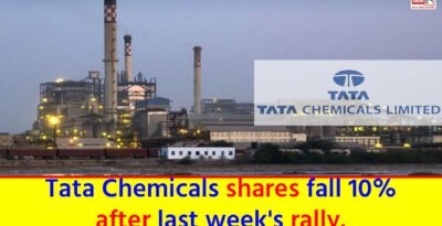 Tata Chemicals share price