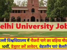 DU Recruitment 2024