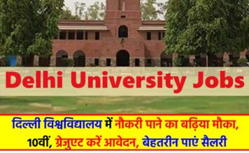 DU Recruitment 2024