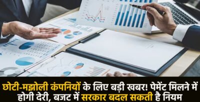 Income Tax: छोटी-मझोली कंपनियों के लिए बड़ी खबर! पेमेंट मिलने में होगी देरी, बजट में सरकर बदल सकती है नियम