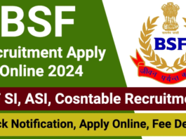 BSF Recruitment
