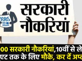 Government Jobs