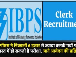 IBPS Clerk Vacancy
