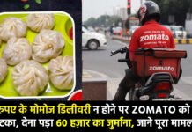 Zomato :133 रुपए के मोमोज डिलीवरी न होने पर Zomato को बड़ा झटका, देना पड़ा 60 हज़ार का जुर्माना, जाने पूरा मामला Zomato