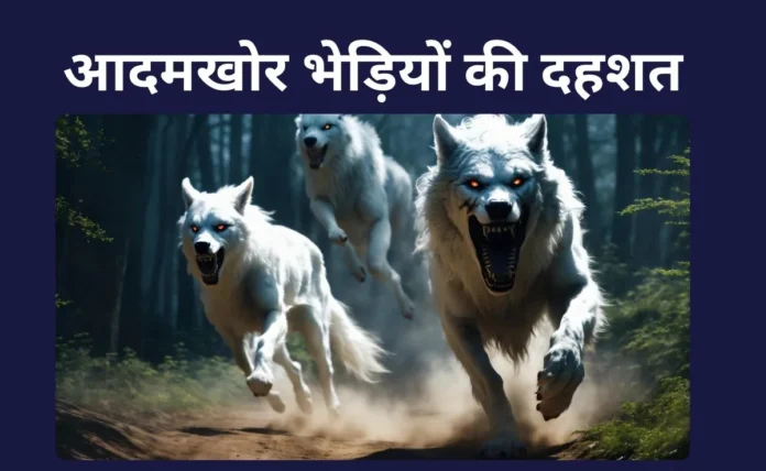 In Kaushambi a Wolf Attacked