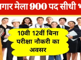 Golden Job Opportunity For Youth