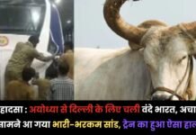 Vande bharat: बड़ा हादसा : अयोध्या से दिल्ली के लिए चली वंदे भारत, अचानक सामने आ गया भारी-भरकम सांड, ट्रेन का हुआ ऐसा हाल Vande bharat