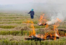 Farmers Have Adopted a new Way to Earn Money