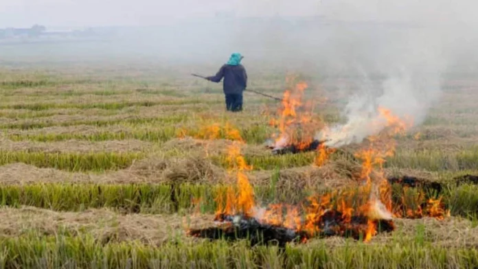 Farmers Have Adopted a new Way to Earn Money