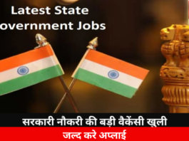 Latest Government Job Vacancies Announced 2024