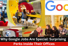 Google Job is Truly Special