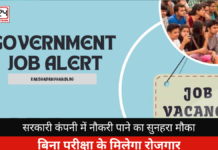 Opportunity to Get a Job in a Government Company