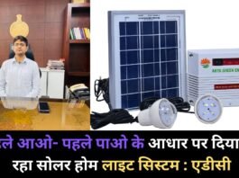 Solar Home Light