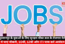 Job Opportunity For 10th-12th Pass Candidates:
