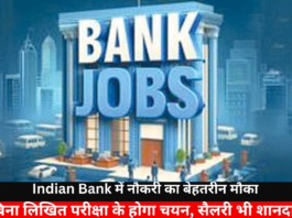Great Opportunity For a Job in Indian Bank