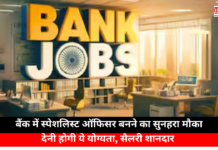 Specialist Officer Manager Job in Bank