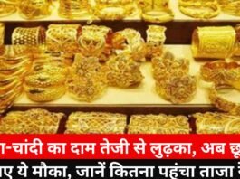 Gold Silver Price