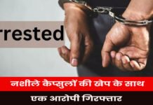 नशीले कैप्सुलों की खेप के साथ एक आरोपी गिरफ्तार