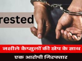 नशीले कैप्सुलों की खेप के साथ एक आरोपी गिरफ्तार