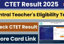 CTET Result Declared By CBSE: सीटीईटी रिजल्ट CBSE ने ctet.nic.in पर किया घोषित, चेक करें इस डायरेक्ट लिंक से CTET Result Declared By CBSE