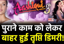 Director on Tripti Dimri Exit from Aashiqui 3